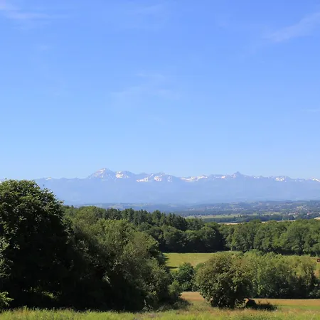 Hello Pyrenees